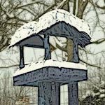 BirdHouseSM.jpg